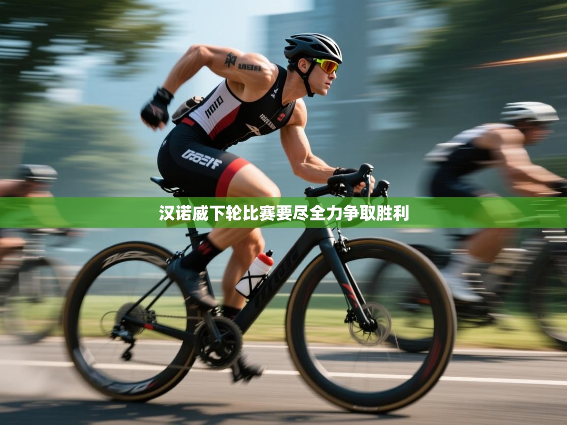 汉诺威下轮比赛要尽全力争取胜利  第1张