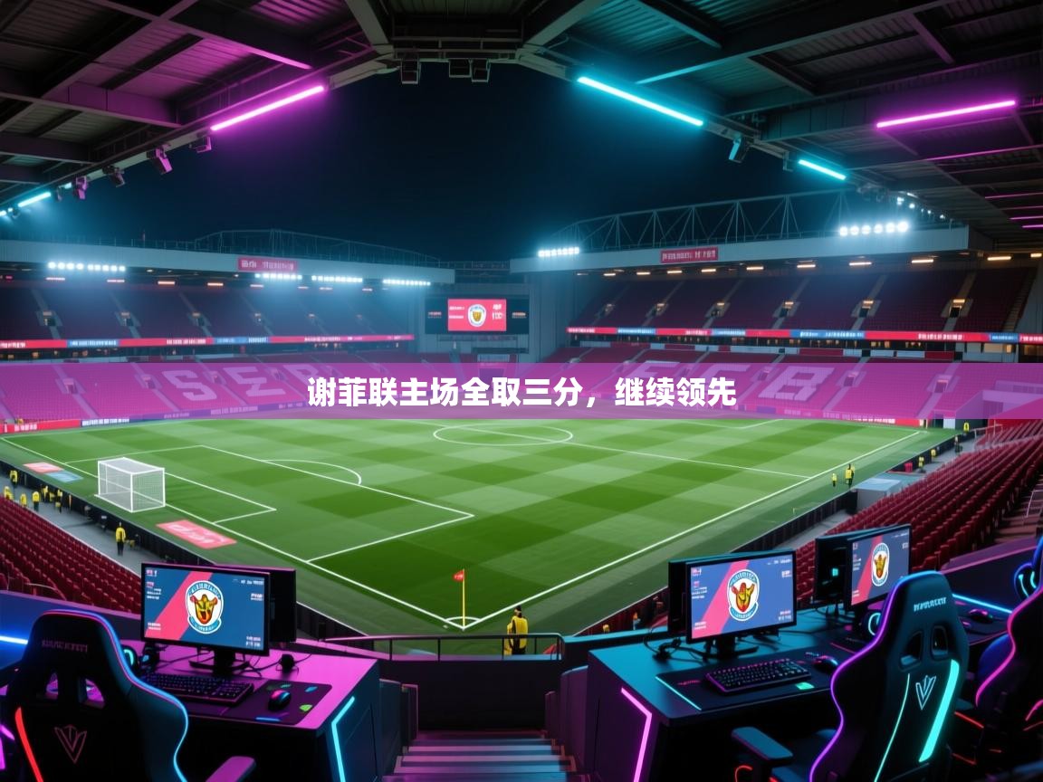 谢菲联主场全取三分,继续领先 第1张