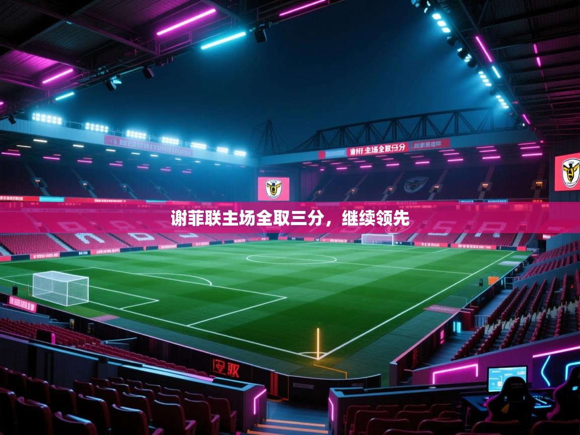 谢菲联主场全取三分,继续领先 第2张