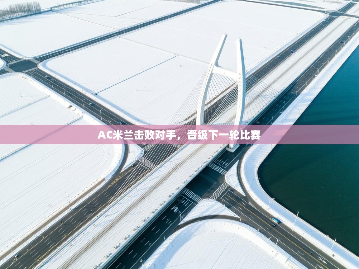 AC米兰击败对手，晋级下一轮比赛  第1张