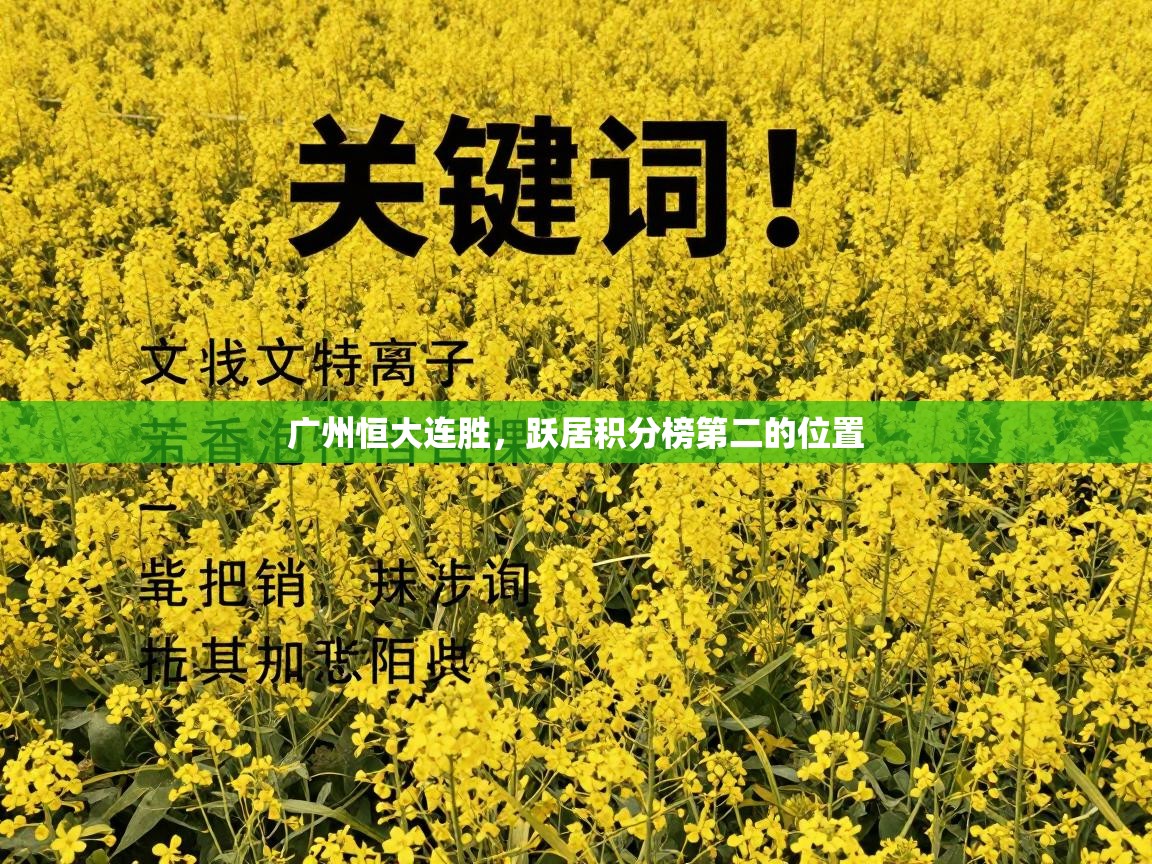 广州恒大连胜，跃居积分榜第二的位置  第2张