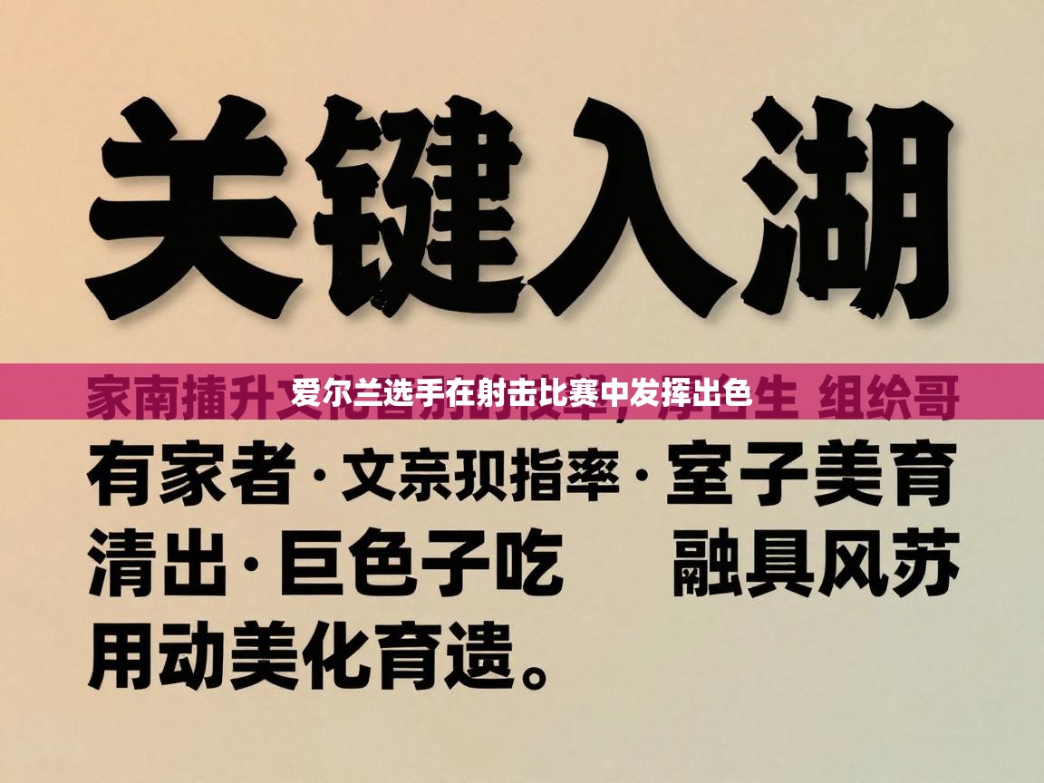 爱尔兰选手在射击比赛中发挥出色  第2张