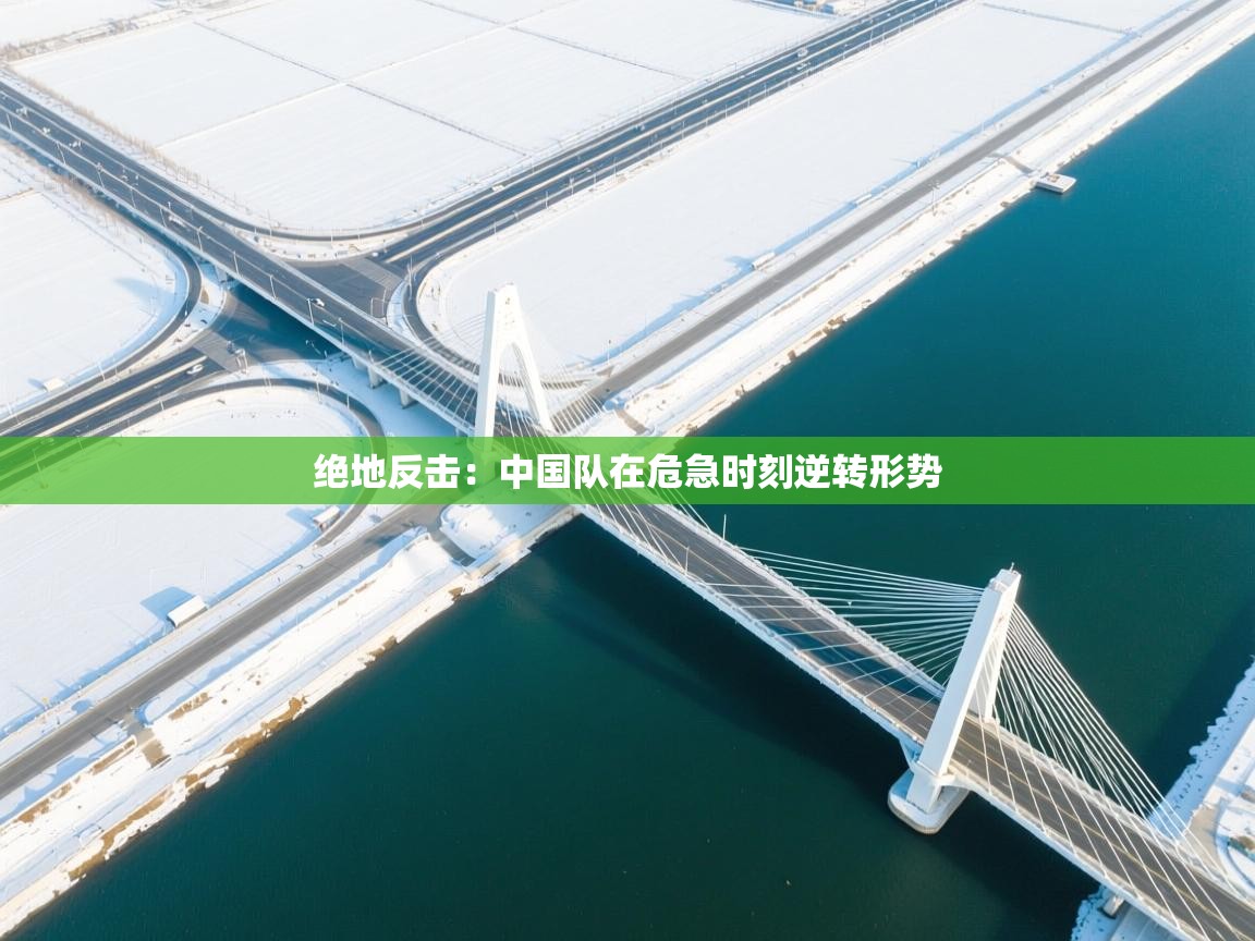 绝地反击:中国队在危急时刻逆转形势 第2张