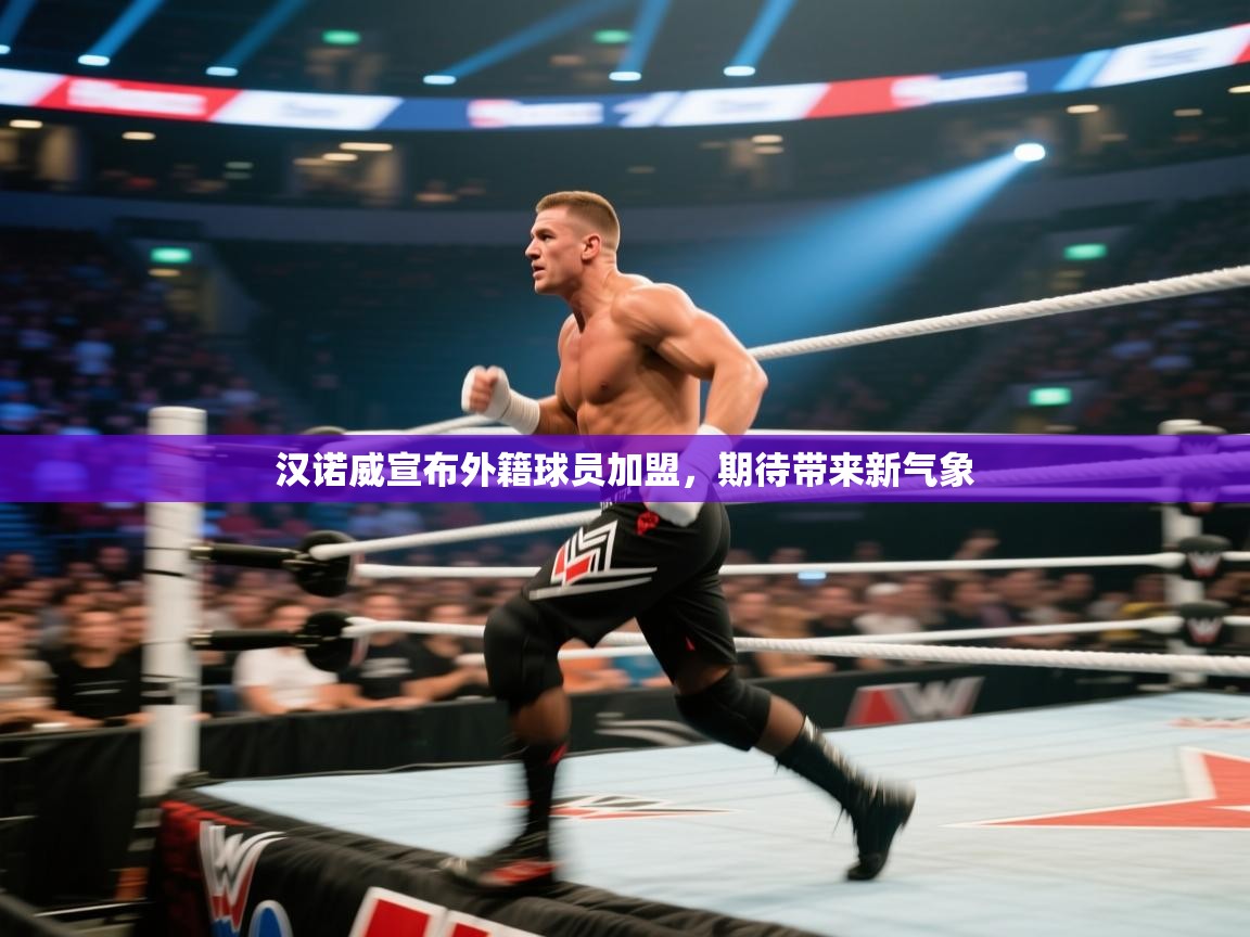 汉诺威宣布外籍球员加盟，期待带来新气象  第1张