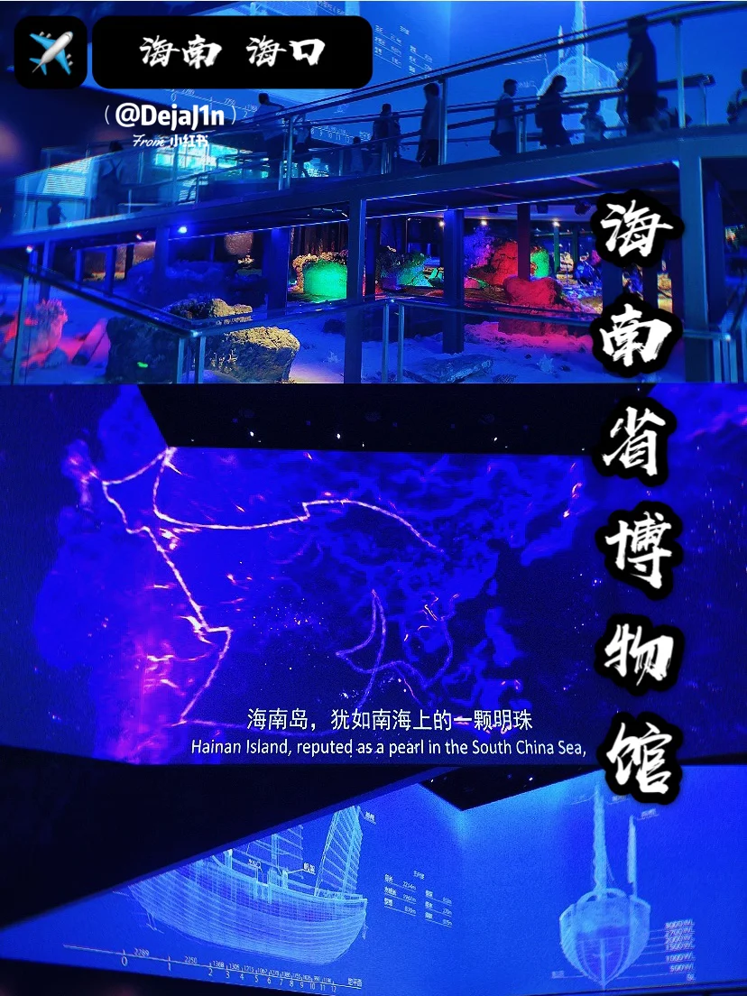海南琼岛队实现漂亮胜利，掀起连胜局面